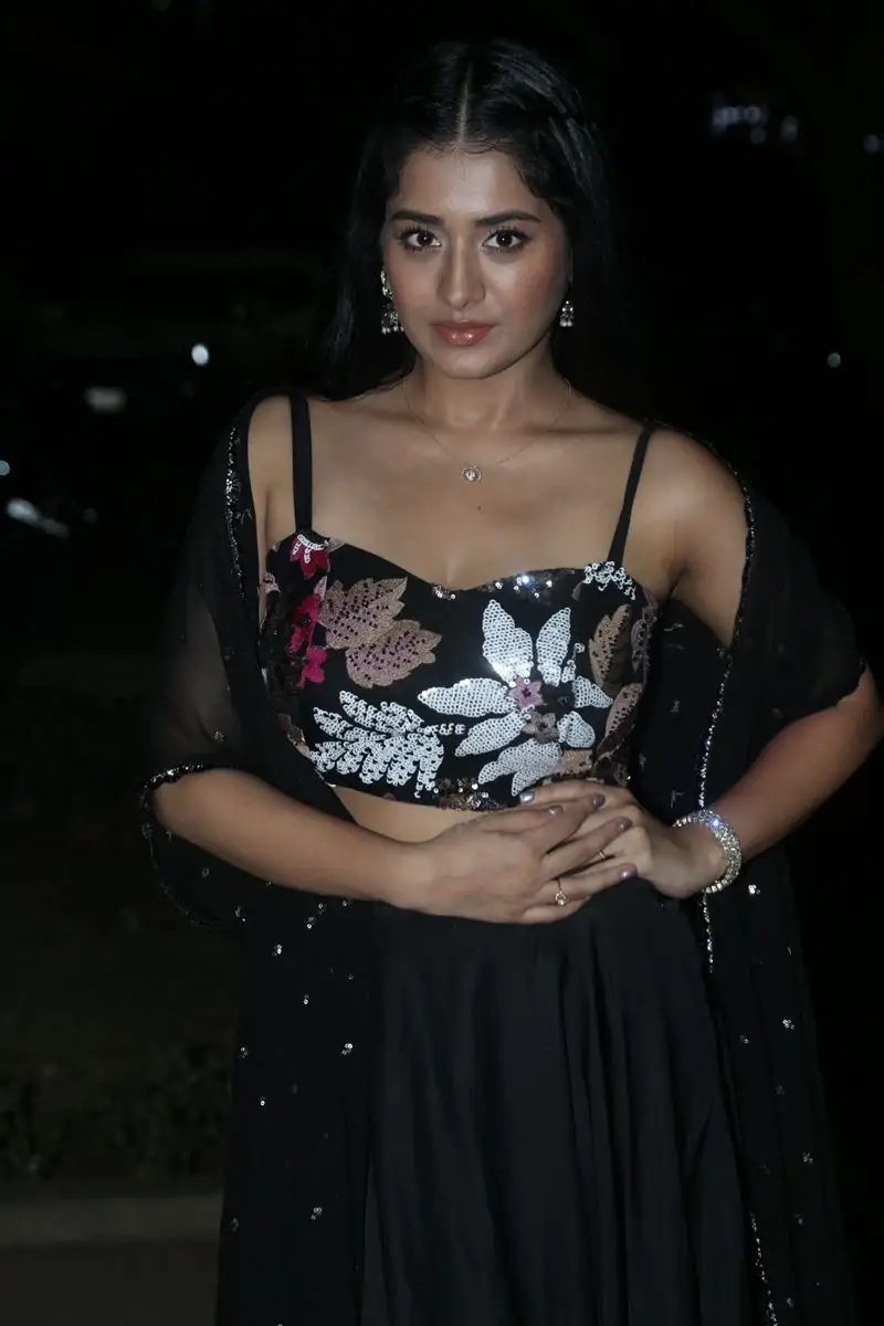 Rashi Singh at Bhoothaddam Bhaskar Narayana Movie Release